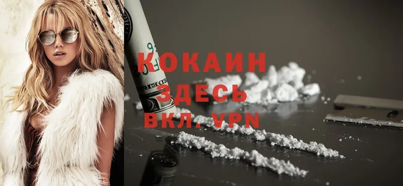 купить закладку  Камень-на-Оби  Cocaine Боливия 