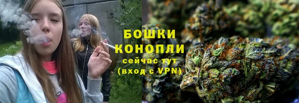 крисы Мегион