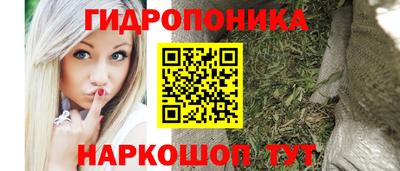 молекула духа Волжск