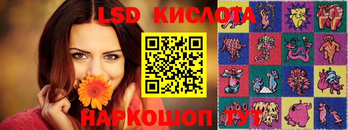Камень-на-Оби  Лсд 25 экстази  Вход с VPN  Лсд 25 экстази кислота 