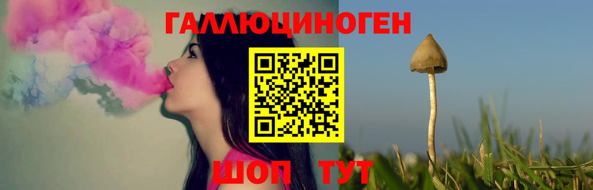 Галлюциногенные грибы ЛСД  Галлюциногенные грибы ЛСД  Вход с VPN  Камень-на-Оби 